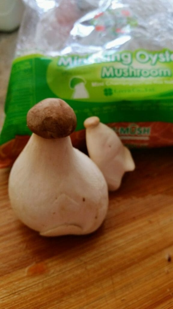 Mini King Mushroom