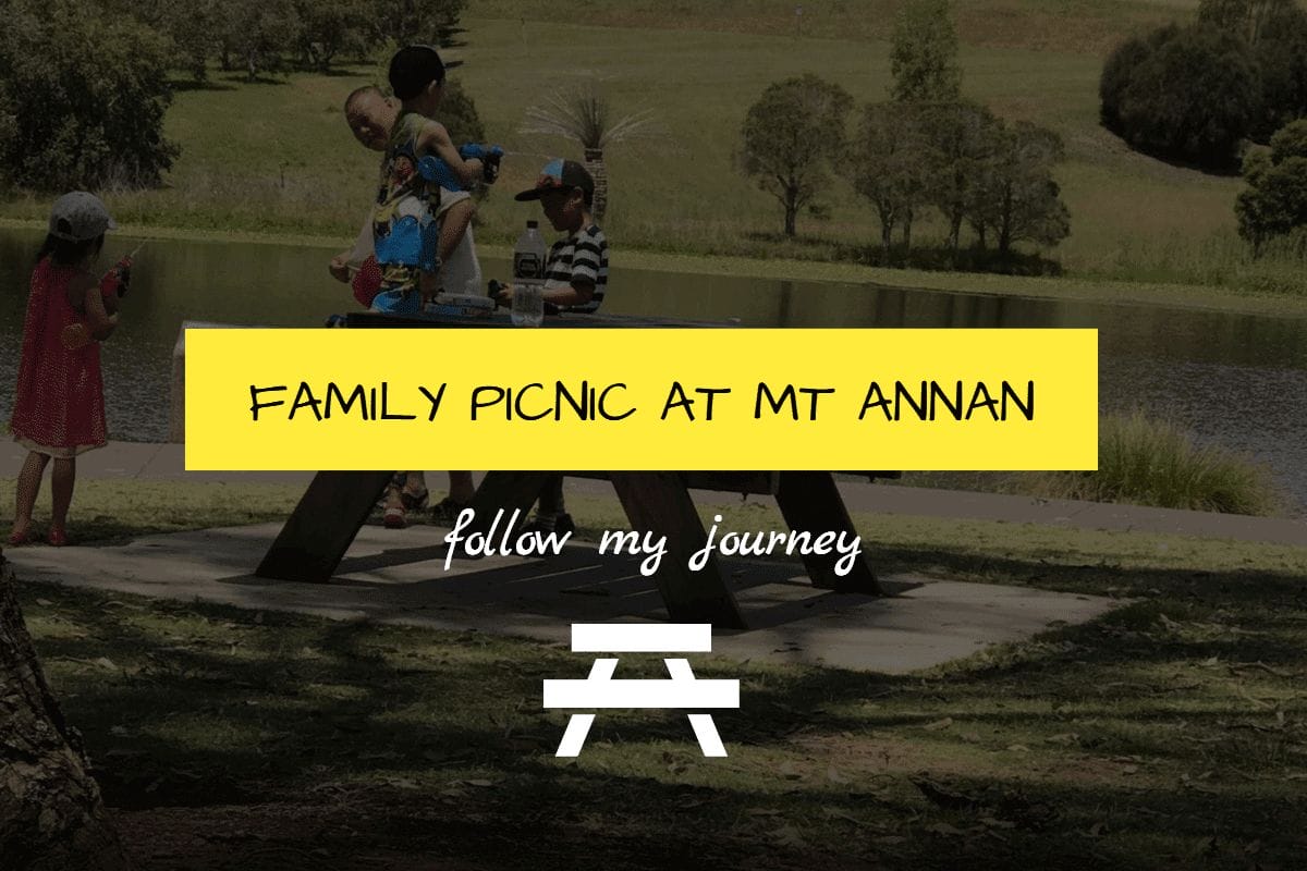 family picnic at mt annan 1