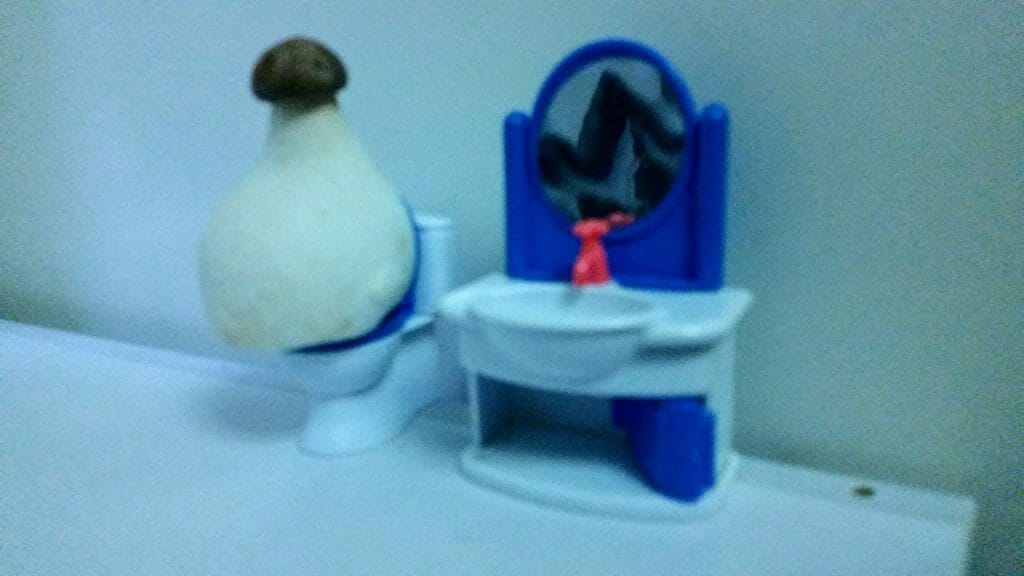 mushroom on a toilet