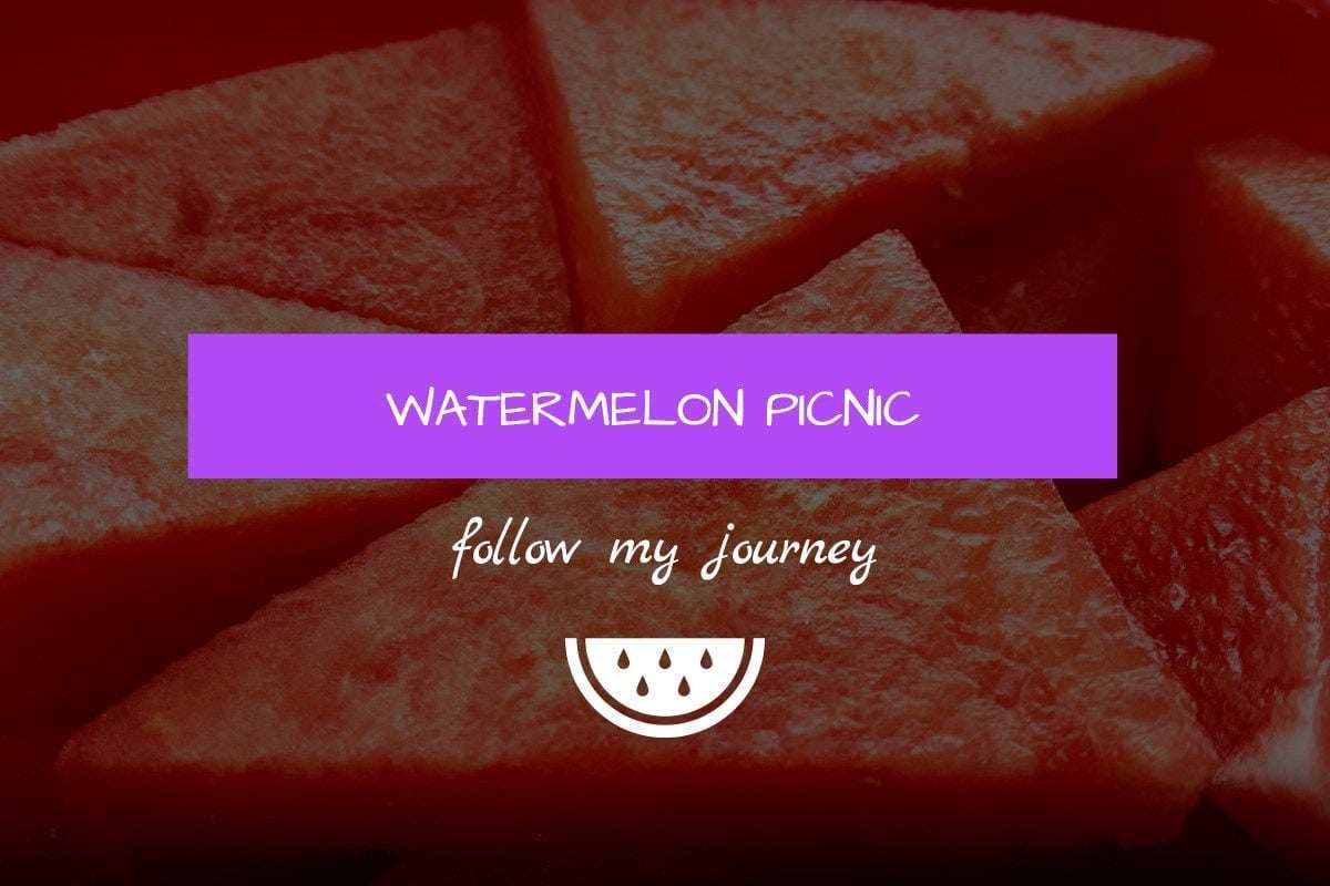 Watermelon Picnic 1