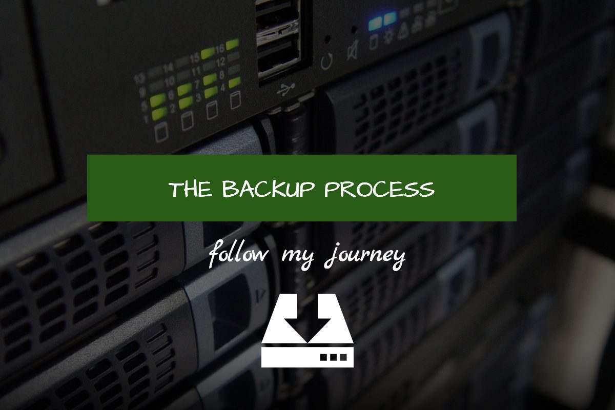 the backup process