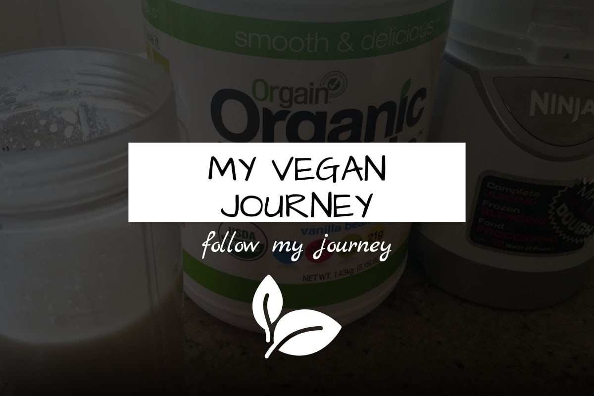 my vegan journey