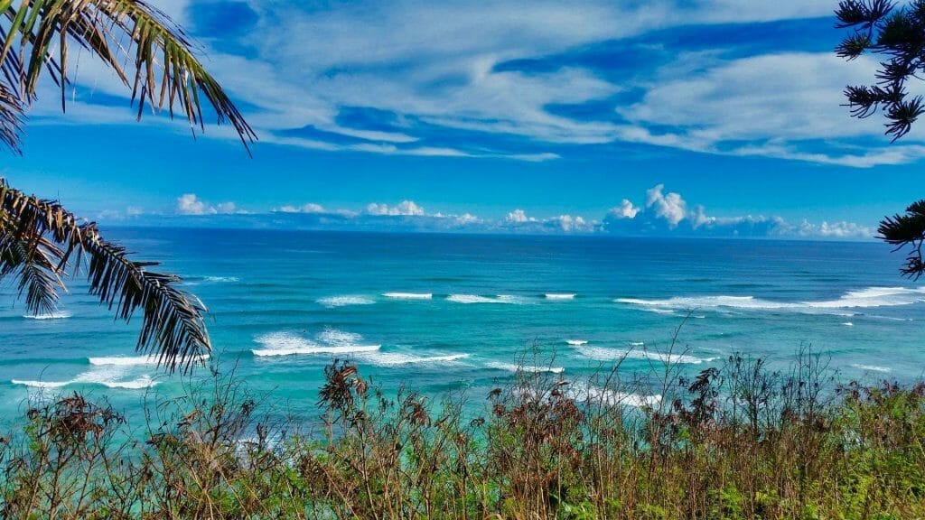 Marco Tran homepage background