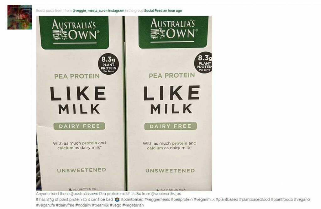 Veggie Meals Vegan Vegetarian BuddyPress Group Instagram Social Media Posts Example