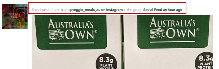 Veggie Meals Vegan Vegetarian BuddyPress Group Instagram Social Media Posts Title