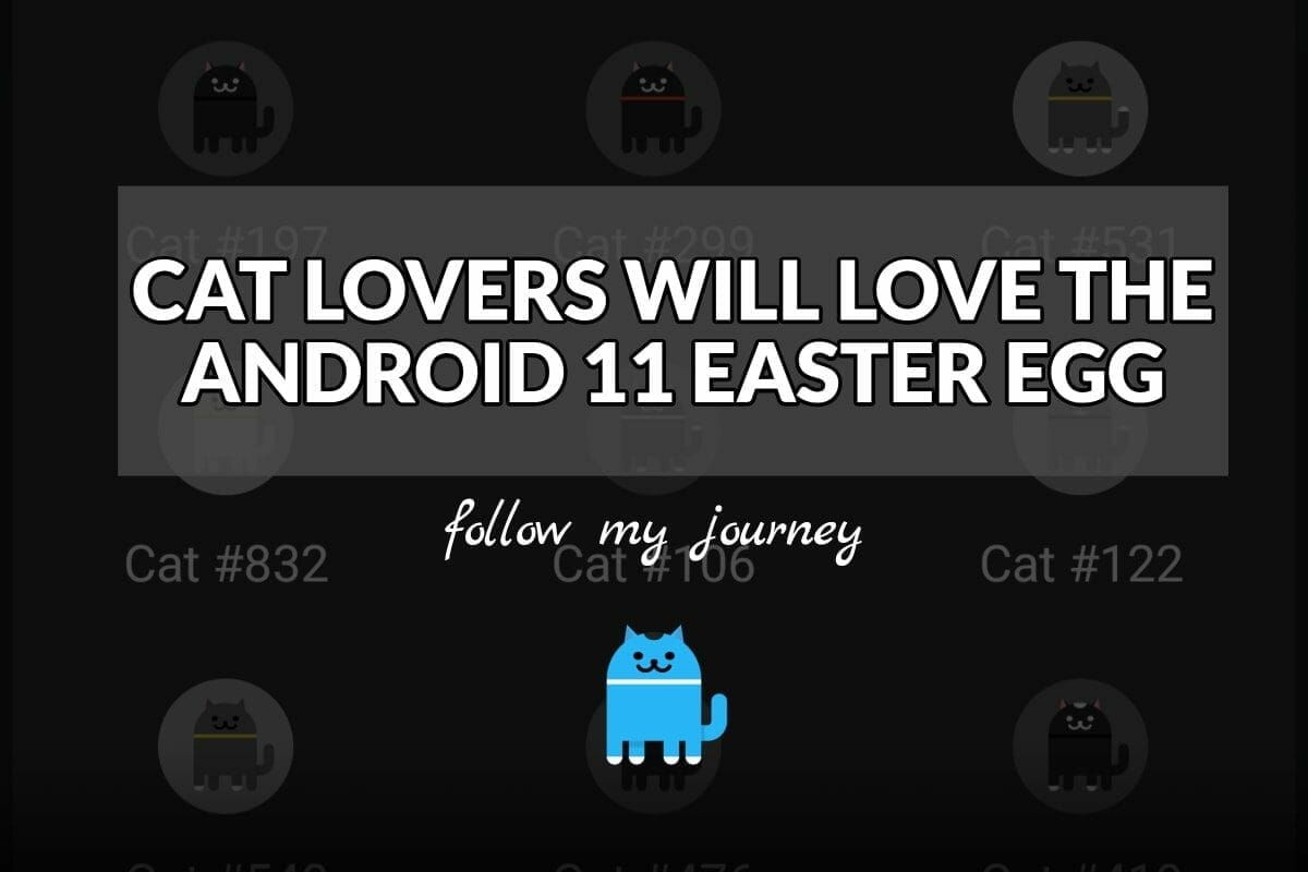 CAT LOVERS WILL LOVE THE ANDROID 11 EASTER EGG header