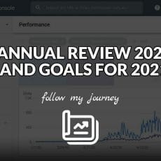 ANNUAL REVIEW 2020 AND GOALS FOR 2021 The Simple Entrepreneur header