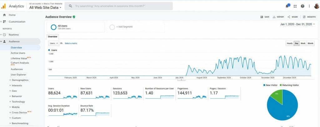 ANNUAL REVIEW 2020 AND GOALS FOR 2021 Website Traffic Stats Analytics The Simple Entrepreneurx