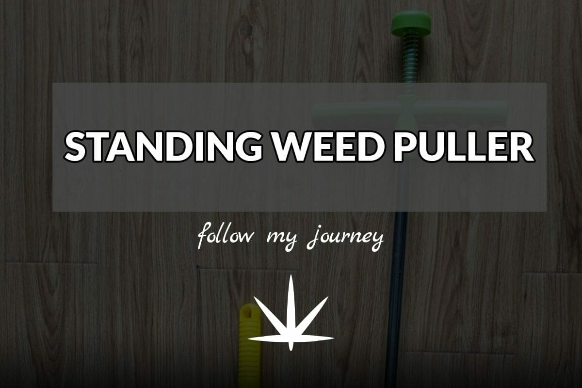 STANDING WEED PULLER The Simple Entrepreneur header