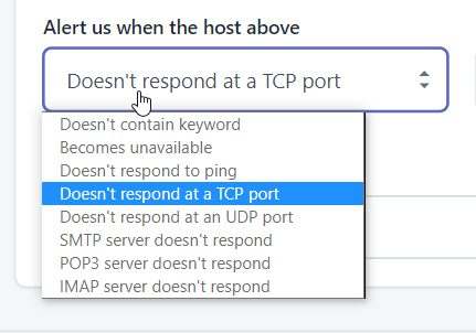 BETTER UPTIME NEW FEATURES MONITOR YOUR WEBSITE options png