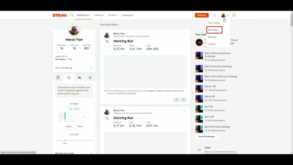 HOW TO ADD STRAVA WIDGET TO A WEBSITE Strava Dashboard Profile The Simple Entrepreneur