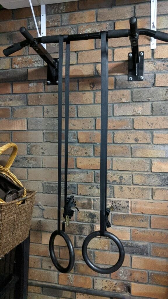 DAILY WORKOUT EXERCISES YOU CAN DO AT HOME The Simple Entrepreneur Gymnastic Rings Pull Up Bar