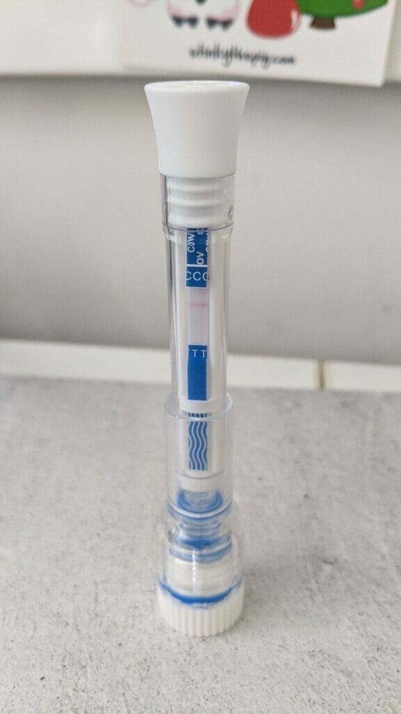 I DID THE COVID 19 ANTIGEN SALIVA TEST KIT ECOTEST result