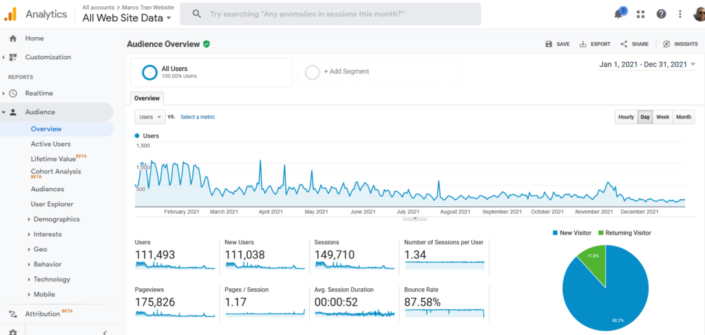 ANNUAL REVIEW 2021 AND GOALS FOR 2022 website traffic 2021 google analytics