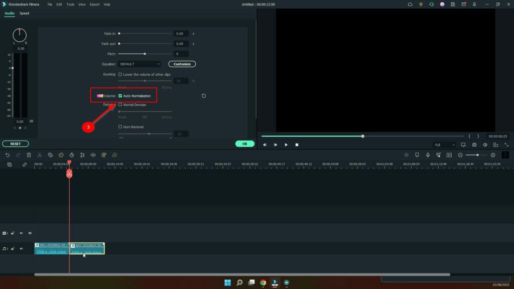 HOW TO USE THE AUDIO NORMALISE FEATURE IN WONDERSHARE FILMORA auto normalisation check button