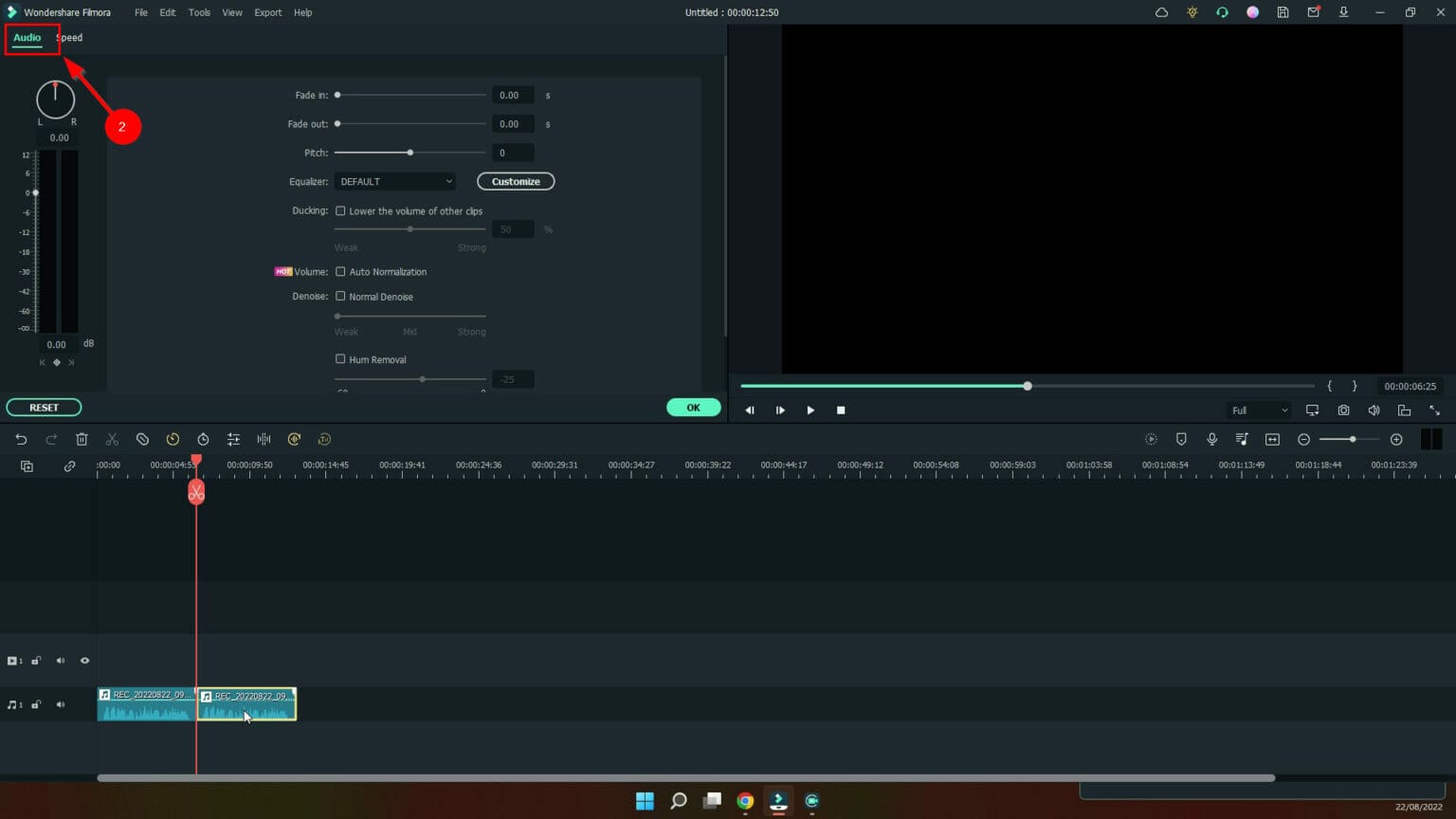 HOW TO USE THE AUDIO NORMALISE FEATURE IN WONDERSHARE FILMORA