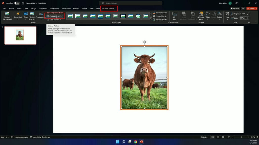 HOW TO CHANGE OR REPLACE AN IMAGE IN POWERPOINT change picture button