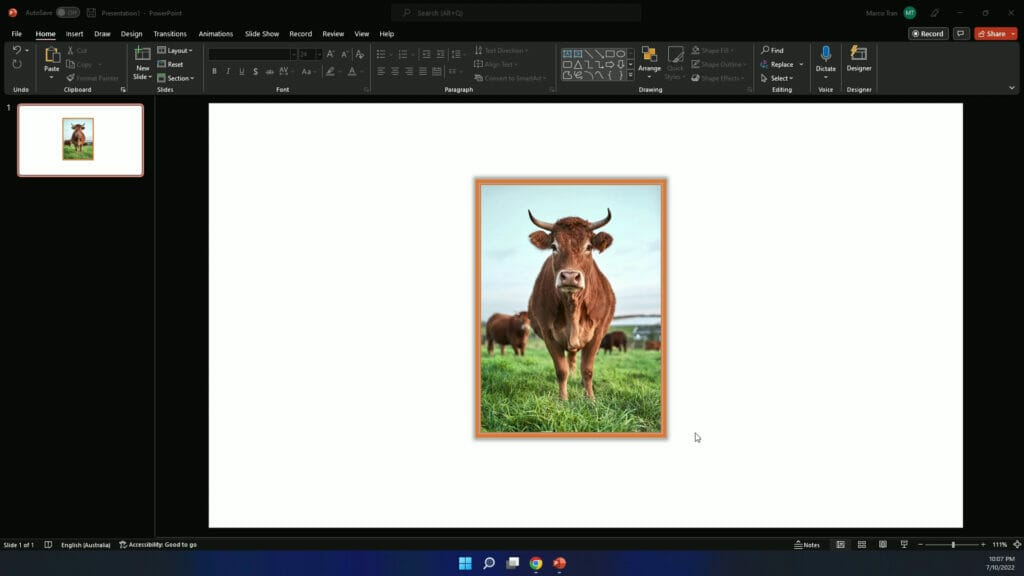 HOW TO CHANGE OR REPLACE AN IMAGE IN POWERPOINT image