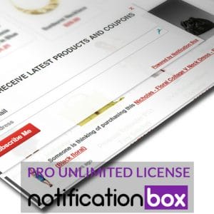 Notification Box WooCommerce Example 2 pro single license