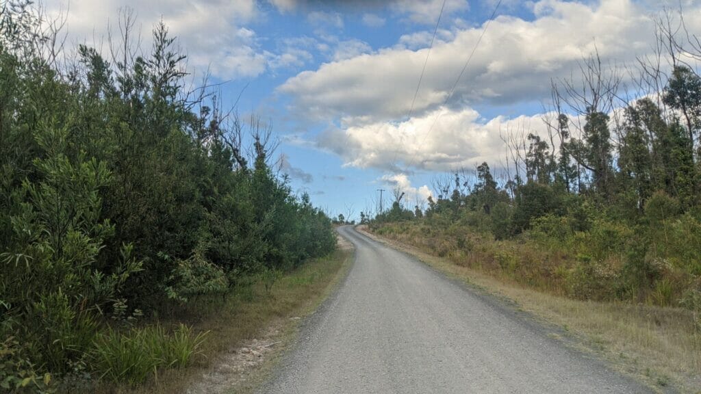 RUNNING AND EXPLORING AT LAKE CONJOLA Buckleys Pt Trail 2