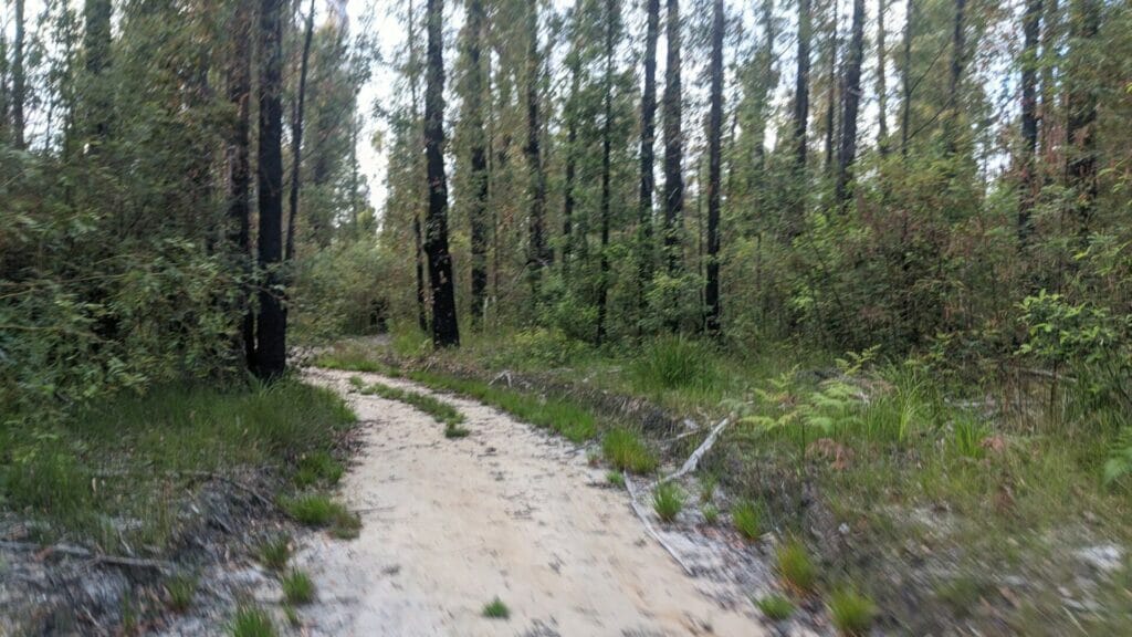 RUNNING AND EXPLORING AT LAKE CONJOLA Buckleys Pt Trail 3