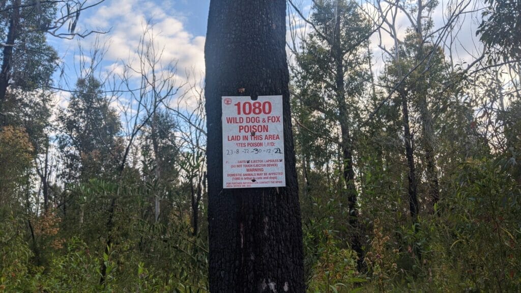 RUNNING AND EXPLORING AT LAKE CONJOLA Buckleys Pt Trail Warning Sign