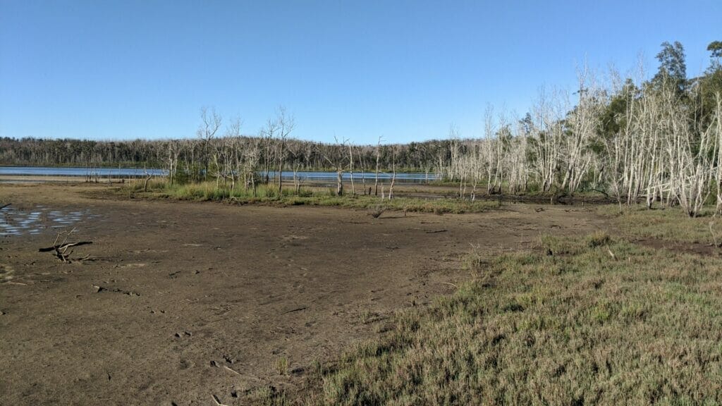 RUNNING AND EXPLORING AT LAKE CONJOLA Pattimores Lagoon 1