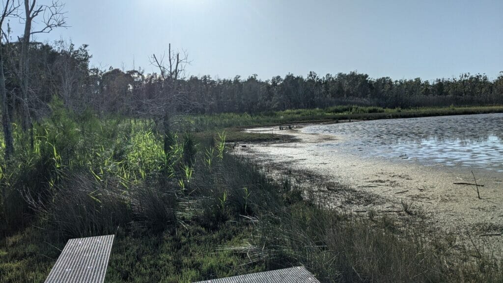 RUNNING AND EXPLORING AT LAKE CONJOLA Pattimores Lagoon 3