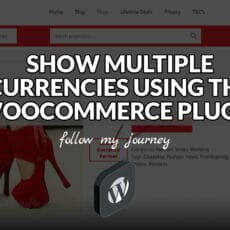 SHOW MULTIPLE CURRENCIES USING THE WOOCOMMERCE PLUGIN header