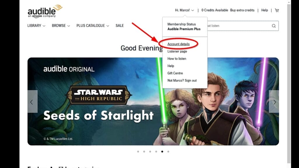 Audible Account Details