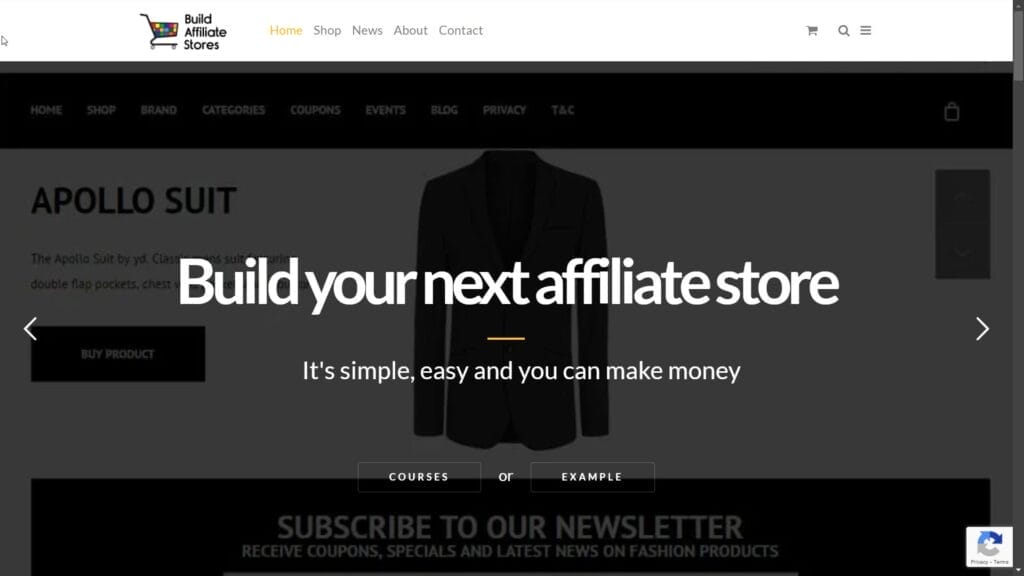 Build Affiliate Stores Affiliate Marketing for stores Make Money Building