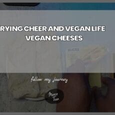 TRYING CHEER AND VEGAN LIFE VEGAN CHEESES header